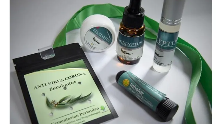 Indonesia está elabaronado varios productos en base a eucalipto para combatir el coronavirus.