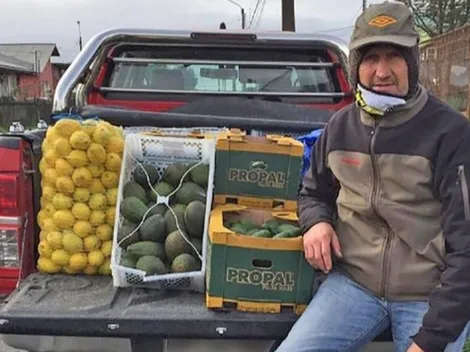 La nueva vida que tiene Morón: entrega paltas a Chiloé