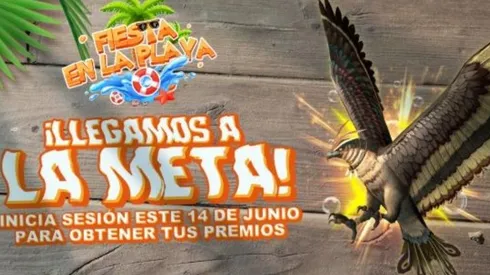 Con solo iniciar sesión podrás tener a Falco como mascota.