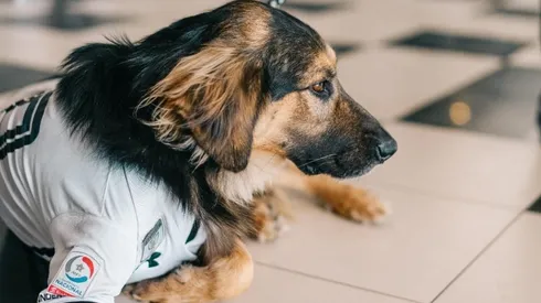 Capitán en el estadio Monumental. Descansa en paz, amigo.