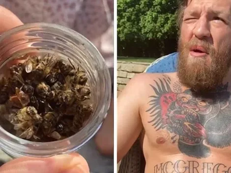 Conor McGregor come un frasco de abejas muertas