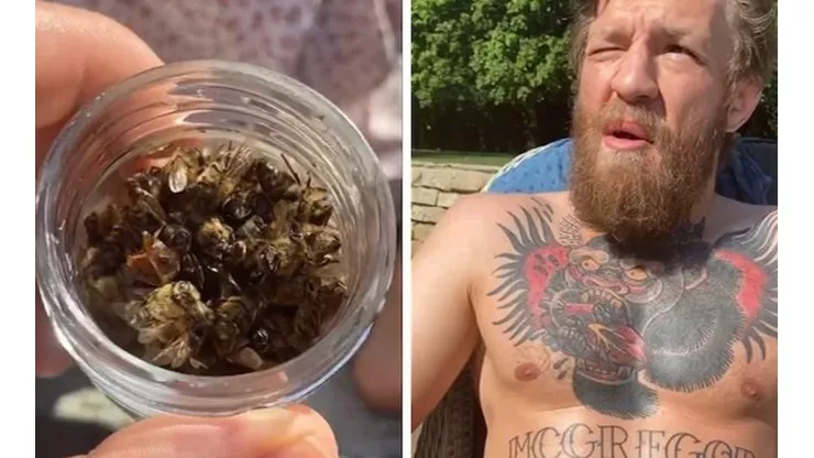 Conor McGregor suma una nueva locura a su lista y comió desde un frasco de abejas muertas