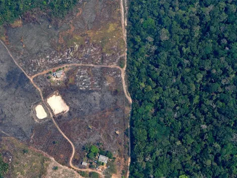 Estudio advierte que la Amazonía sufrió en abril la mayor deforestación de la última década