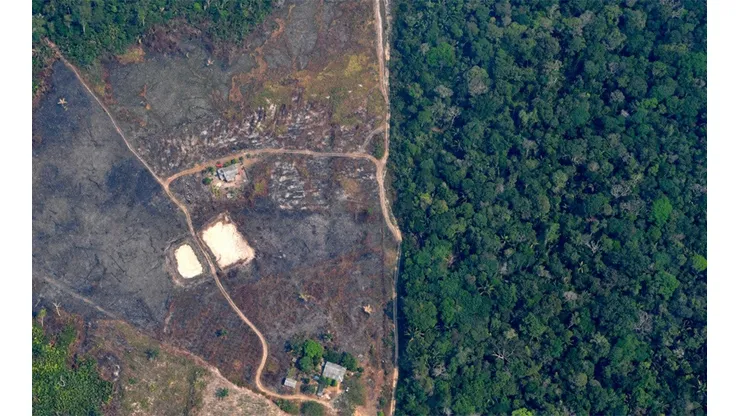 Desde el aire se pueden ver las deforestaciones de la Amazonía, como esta que corresponde al 2019.