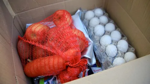 El Plan Alimentos Para Chile entregaría alimentos no perecibles.