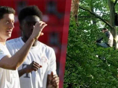 Hincha se sube a un árbol para ver el Unión Berlín vs Bayern