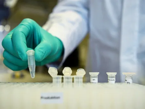 Vacuna alemana contra el coronavirus pasó con éxito las pruebas preclínicas