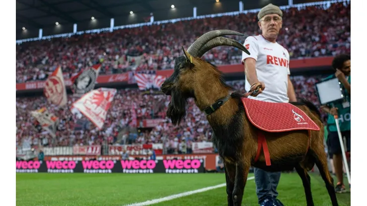 Hennes no será bienvenida en la reanudación de la Bundesliga