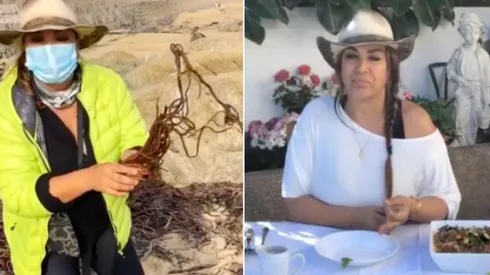 Marlen Olivari entregó sus tips para sacar y cocinar cochayuyo de la playa