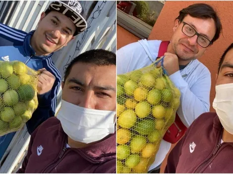 Nicolás Maturana se reinventa y comienza una pyme de limones a domicilio