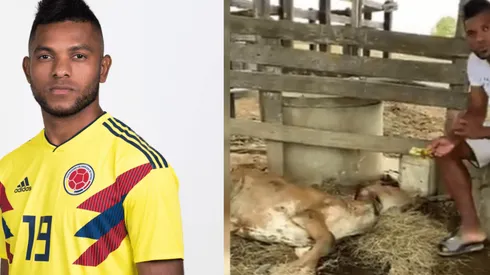 Miguel Borja muestra amargamente al bovino atacado