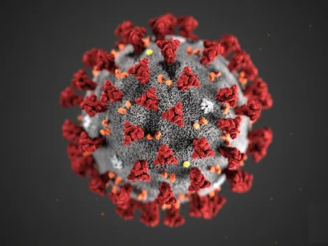 Imágenes del Covid-19 atacando a una célula sana