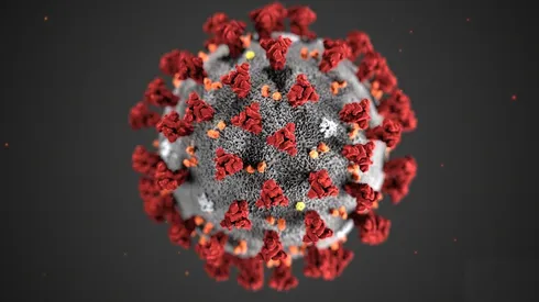 Así sería el virus.