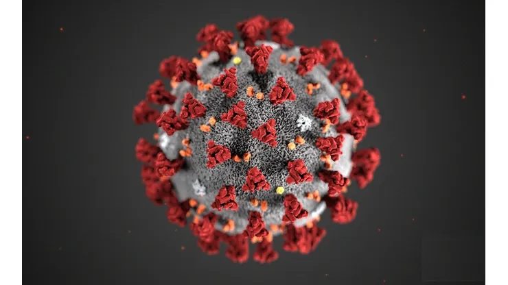 Así sería el virus.