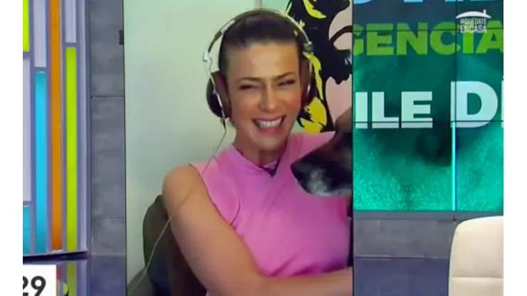 El perro de Tonka apareció de la nada en plena transmisión de "Bienvenidos"
