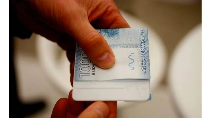 ¿En qué consiste la Ley de Ingreso Mínimo Garantizado?