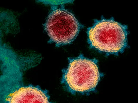 La Covid-19: RAE aclara que nombre de la enfermedad es femenino