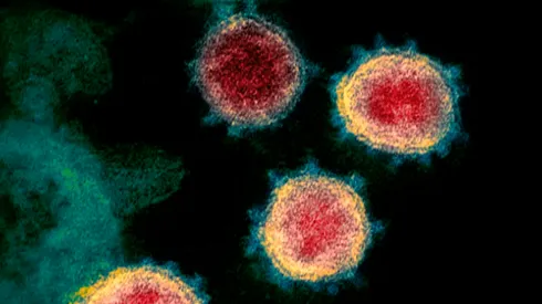 La RAE aclaró por qué se debe decir "la Covid-19"