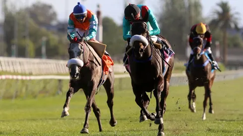 La hípica para sus actividades.