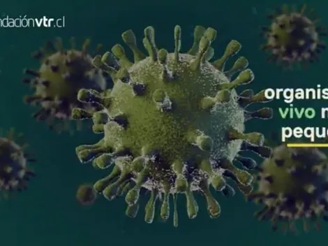 VTR habilita canal especial para informar sobre el coronavirus