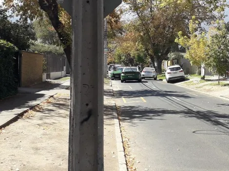 Vecinos informan presencia de otro puma en la comuna de La Reina