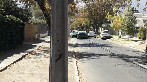 Vecinos informan presencia de otro puma en la comuna de La Reina