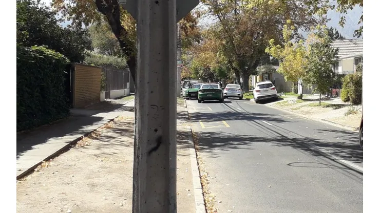 Vecinos informan presencia de otro puma en la comuna de La Reina