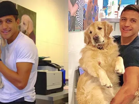 A Alexis le crece la familia y muestran a sus nuevos cachorros