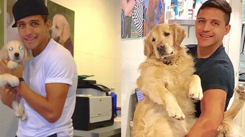 Atom y Humber tienen "hermanos"