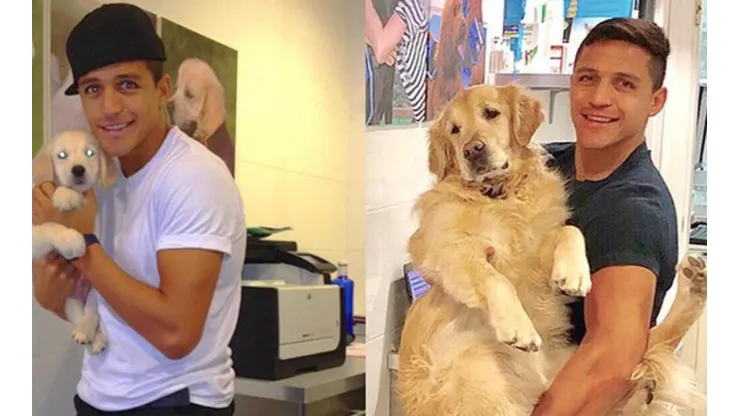 Atom y Humber tienen "hermanos"