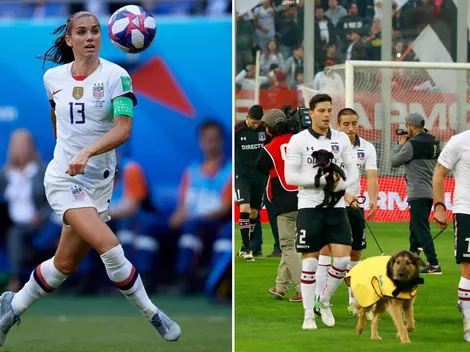 Morgan maravillada por campaña de adopción de perros en Colo Colo