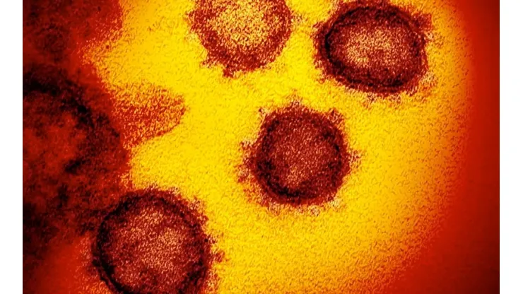 Coronavirus se puede transmitir a mayor distancia y no sólo por vía aérea
