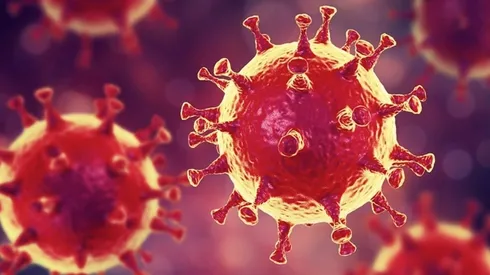 Coronavirus: ¿Qué tan peligroso es?