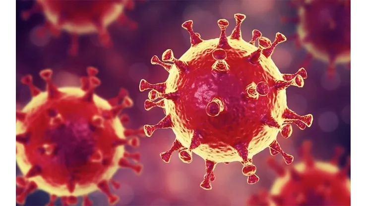Coronavirus: ¿Qué tan peligroso es?