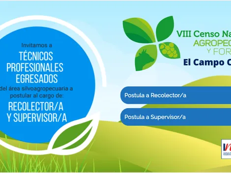 INE busca encuestadores y pagará desde $1 millón