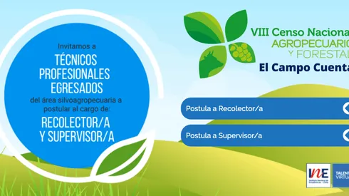 INE busca encuestadores y pagará desde $1 millón