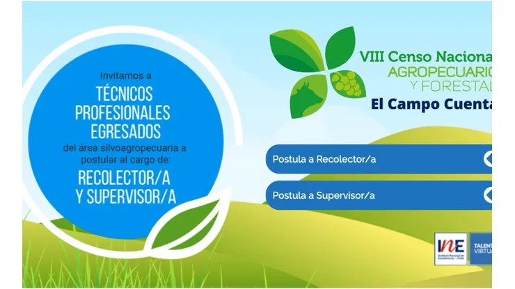 INE busca encuestadores y pagará desde $1 millón