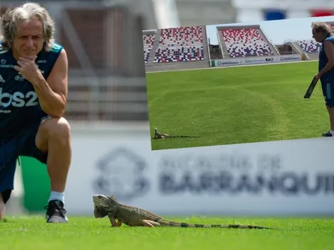 A Flamengo se le mete una iguana en Colombia a horas del debut