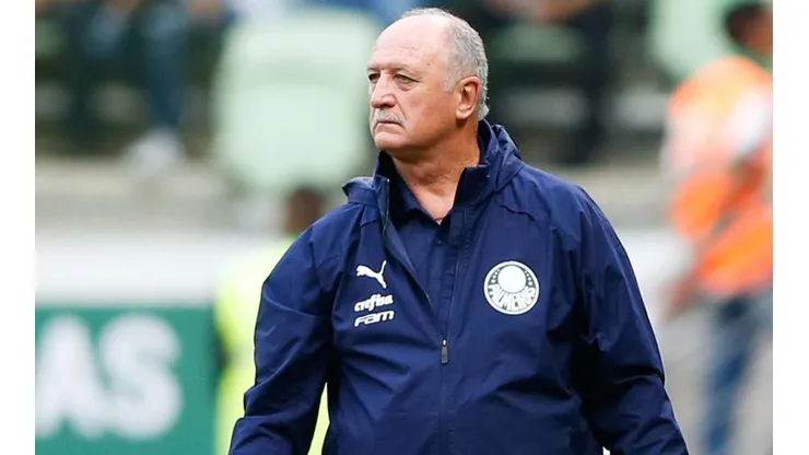 Felipao en Palmeiras.
