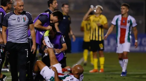 El análisis del Hueso