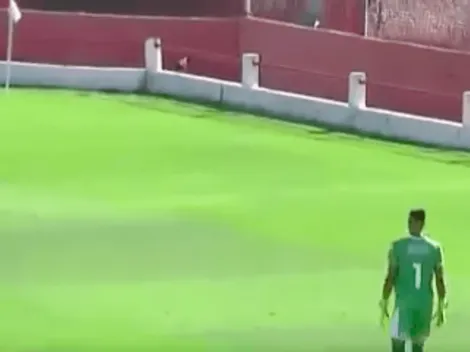 ¡No! Un perro trata de escapar de una cancha y termina cayendo a un pozo