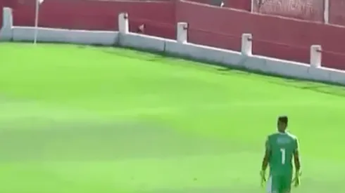 ¡No! Un perro trata de escapar de una cancha y termina cayendo a un pozo