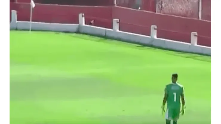 ¡No! Un perro trata de escapar de una cancha y termina cayendo a un pozo