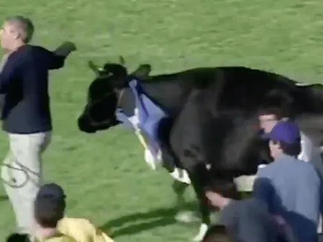 El hilarante video con que celebran el regreso del fútbol uruguayo