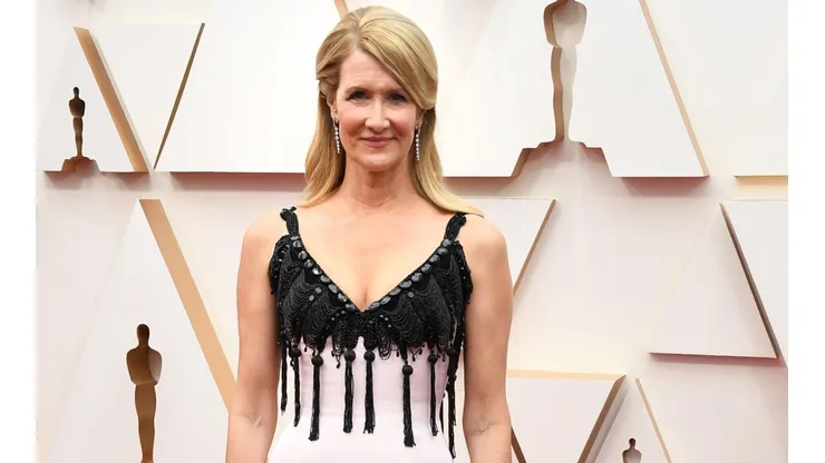 Los mejores looks en la alfombra roja de los Oscar 2020