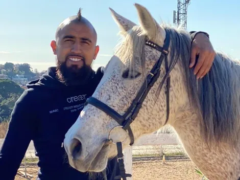 Vidal: “Hasta que no ames un animal, tu alma permanece dormida”