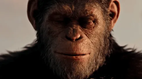 El cine de una década: Las películas de 2010 a 2019