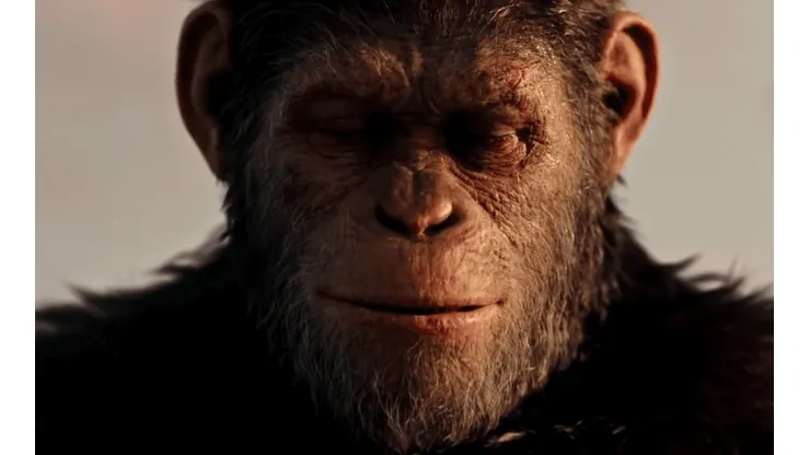 El cine de una década: Las películas de 2010 a 2019