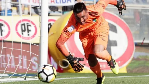 Pinto ahora viste de albo