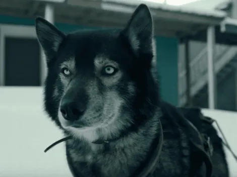 Disney apuesta por la aventura con "Togo"